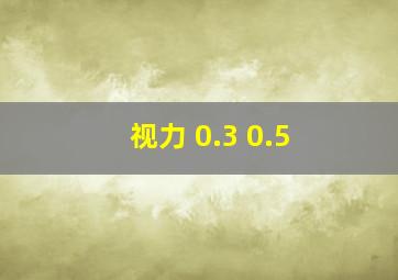 视力 0.3 0.5